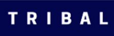 Tribal Group[LON: TRB]